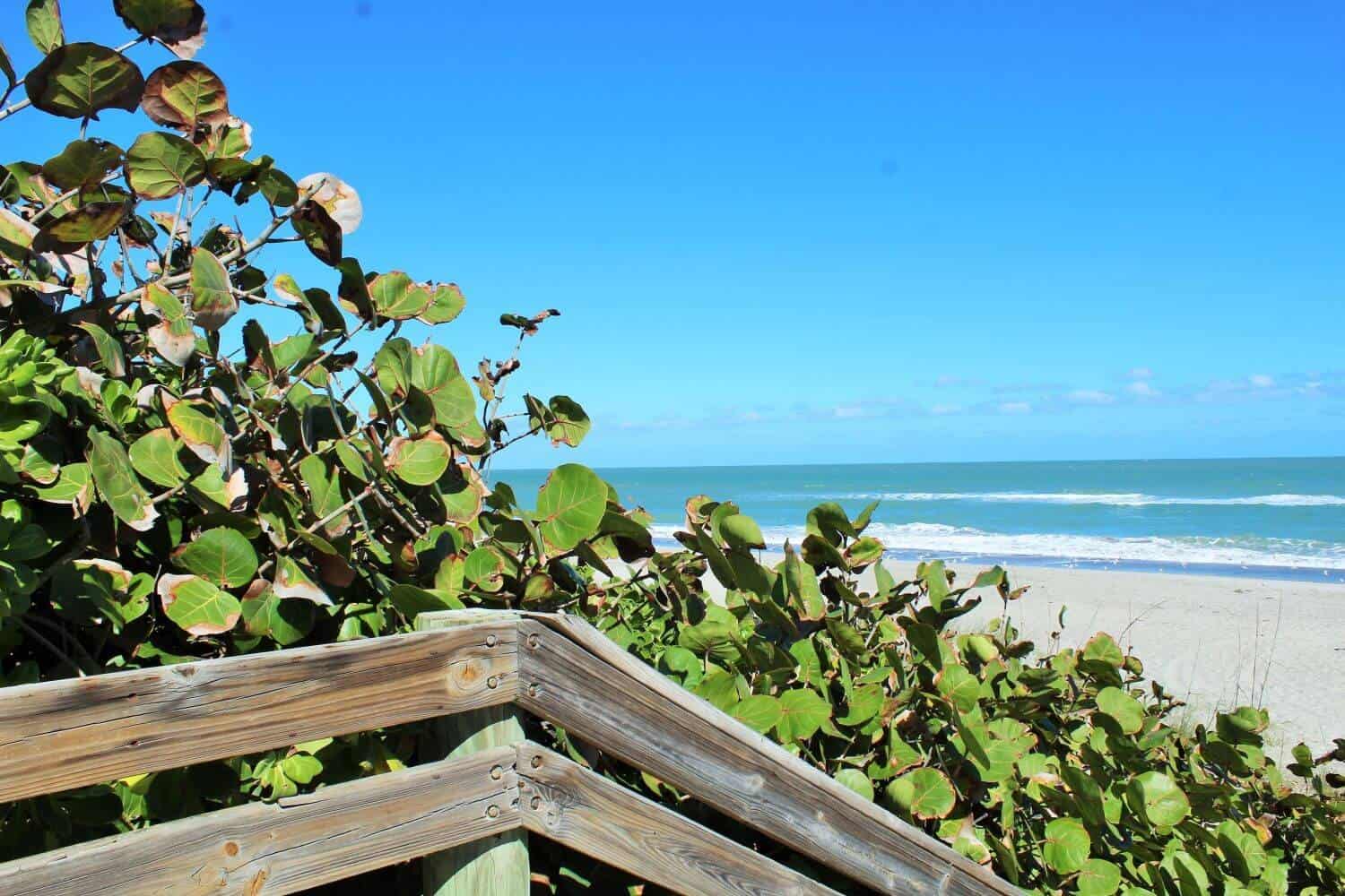 things-to-do-in-melbourne-fl