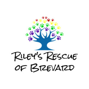 Riley's Rescue of Brevard 